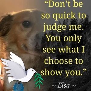 Meet your Posher, Elsa